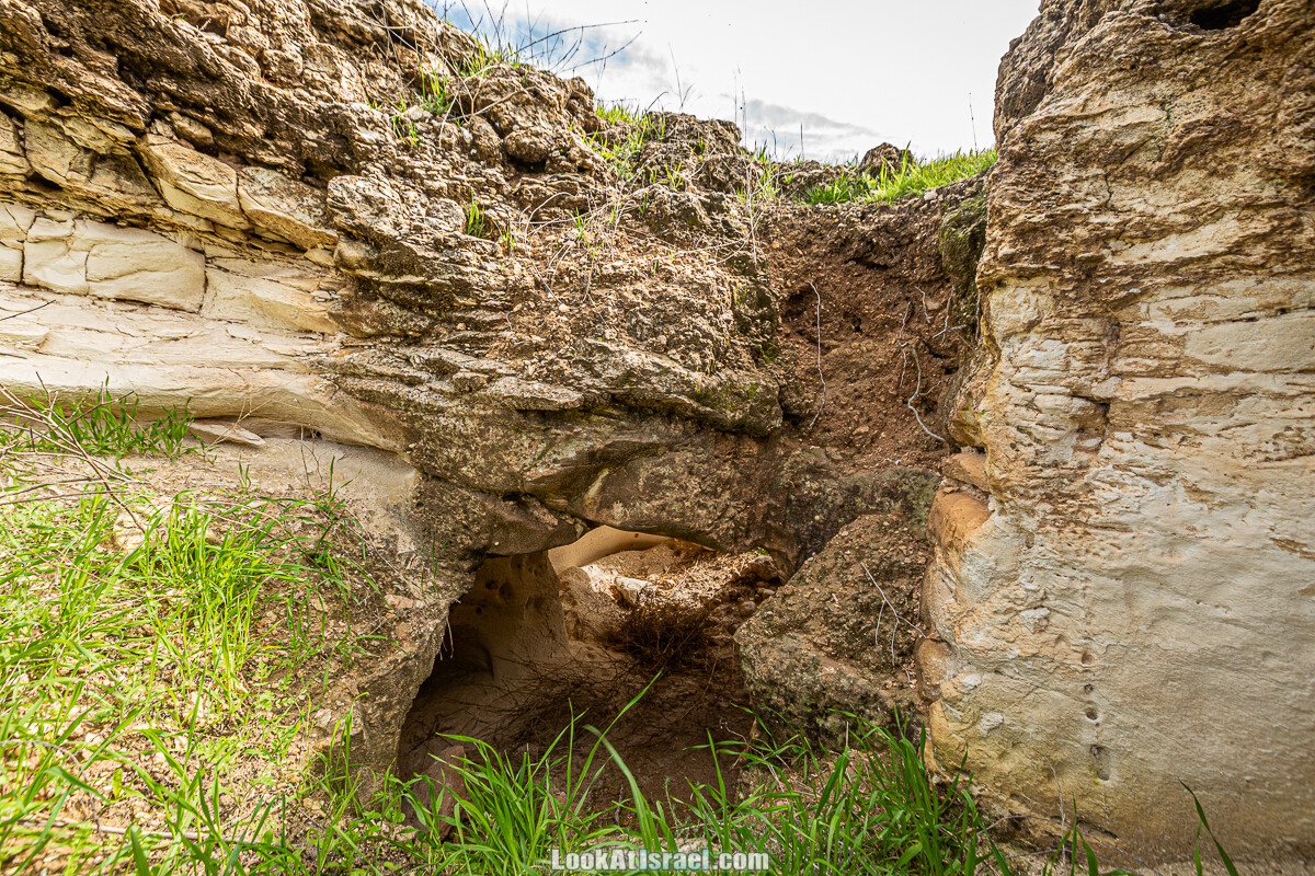Цветение и археология - Тель Этон, Хирбет Гамар (Гомер), Тель Мирсим | LookAtIsrael.com - Фото путешествия по Израилю
