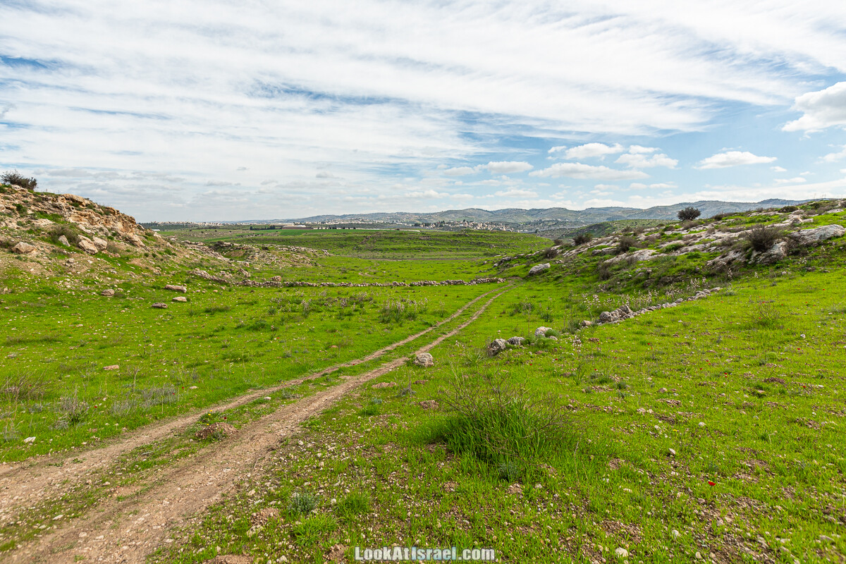 Цветение и археология - Тель Этон, Хирбет Гамар (Гомер), Тель Мирсим | LookAtIsrael.com - Фото путешествия по Израилю