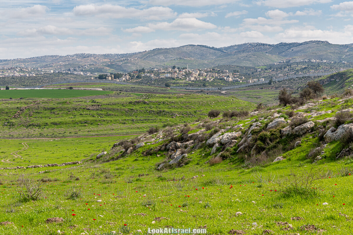 Цветение и археология - Тель Этон, Хирбет Гамар (Гомер), Тель Мирсим | LookAtIsrael.com - Фото путешествия по Израилю