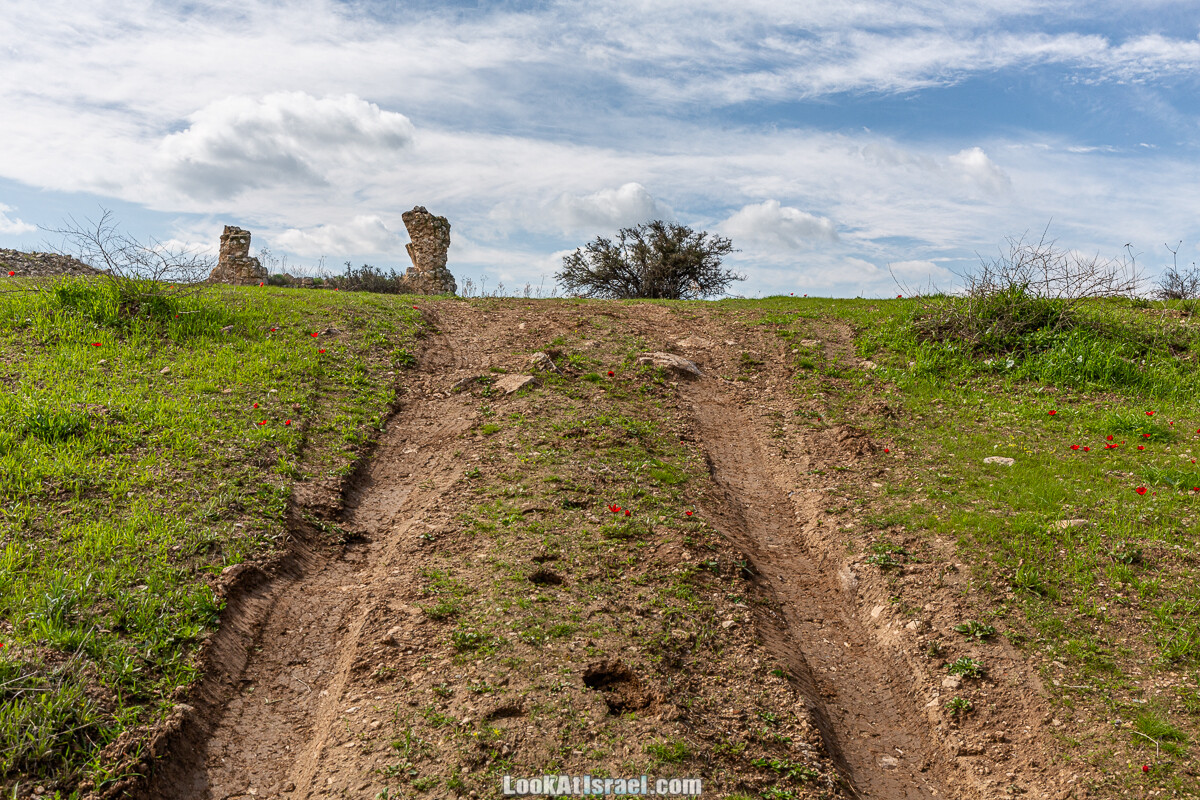 Цветение и археология - Тель Этон, Хирбет Гамар (Гомер), Тель Мирсим | LookAtIsrael.com - Фото путешествия по Израилю