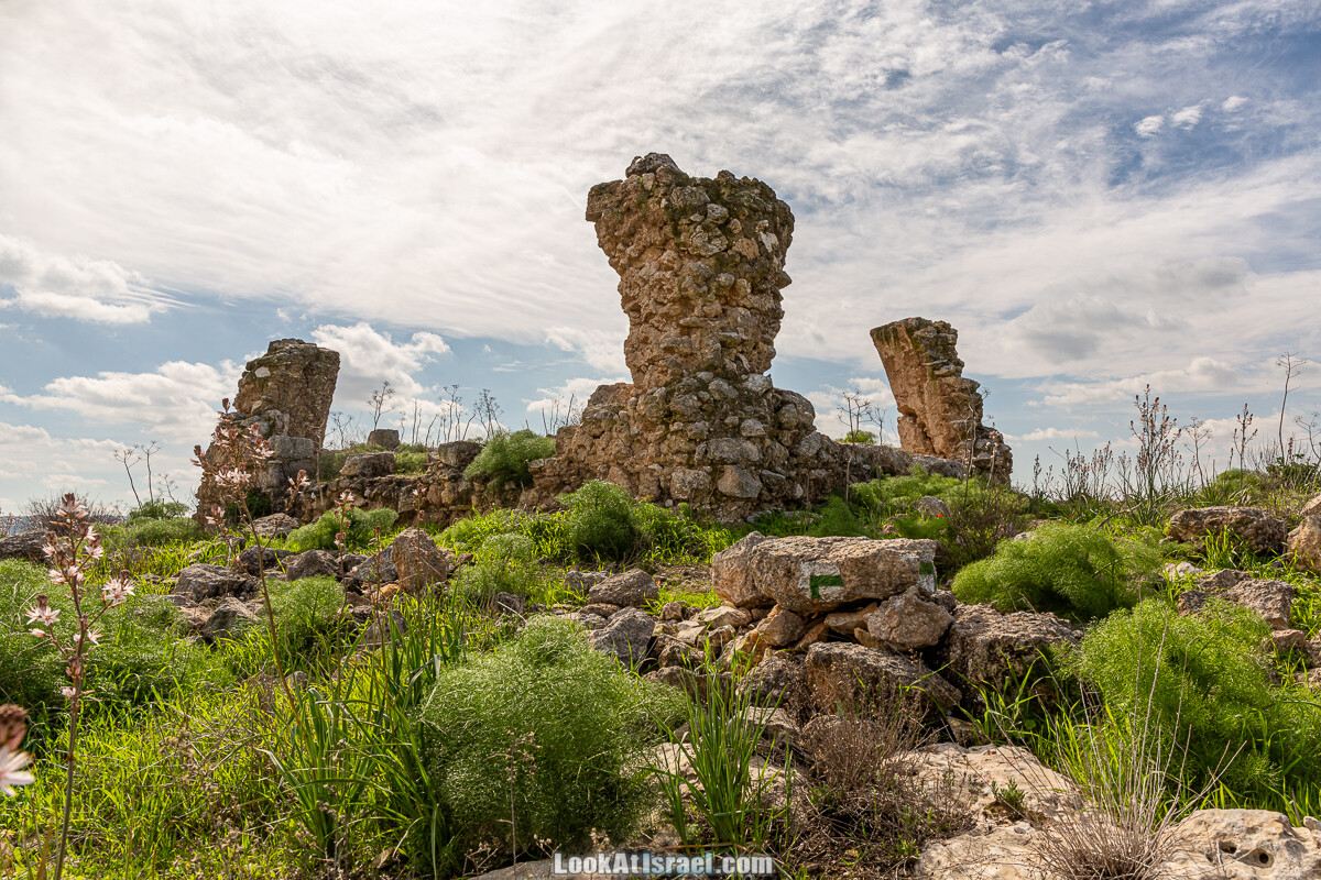 Цветение и археология - Тель Этон, Хирбет Гамар (Гомер), Тель Мирсим | LookAtIsrael.com - Фото путешествия по Израилю