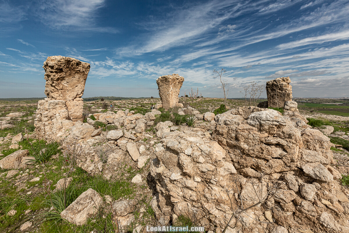 Цветение и археология - Тель Этон, Хирбет Гамар (Гомер), Тель Мирсим | LookAtIsrael.com - Фото путешествия по Израилю