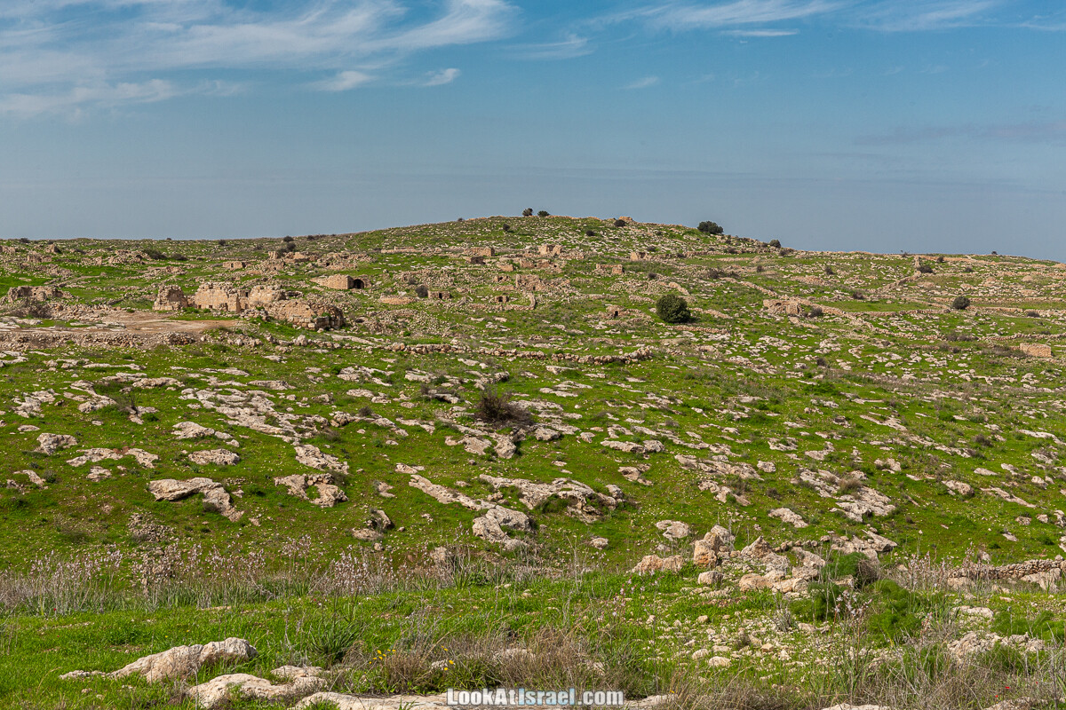 Цветение и археология - Тель Этон, Хирбет Гамар (Гомер), Тель Мирсим | LookAtIsrael.com - Фото путешествия по Израилю
