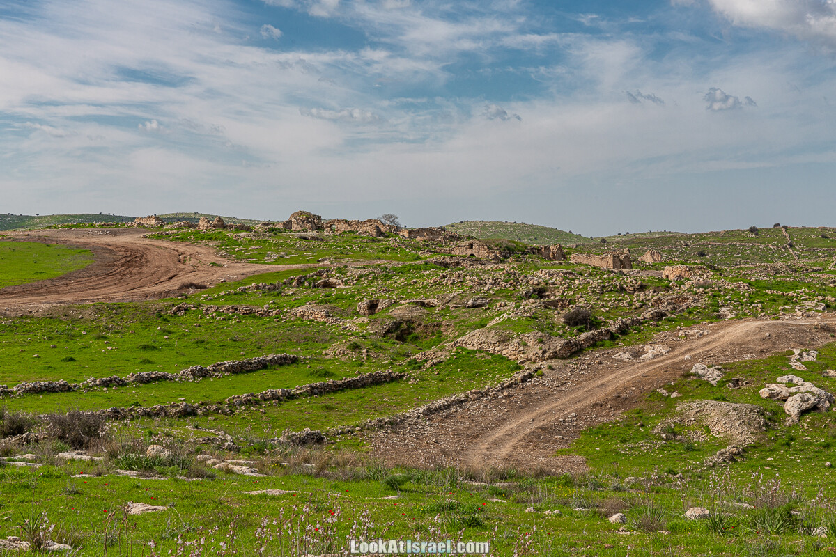 Цветение и археология - Тель Этон, Хирбет Гамар (Гомер), Тель Мирсим | LookAtIsrael.com - Фото путешествия по Израилю