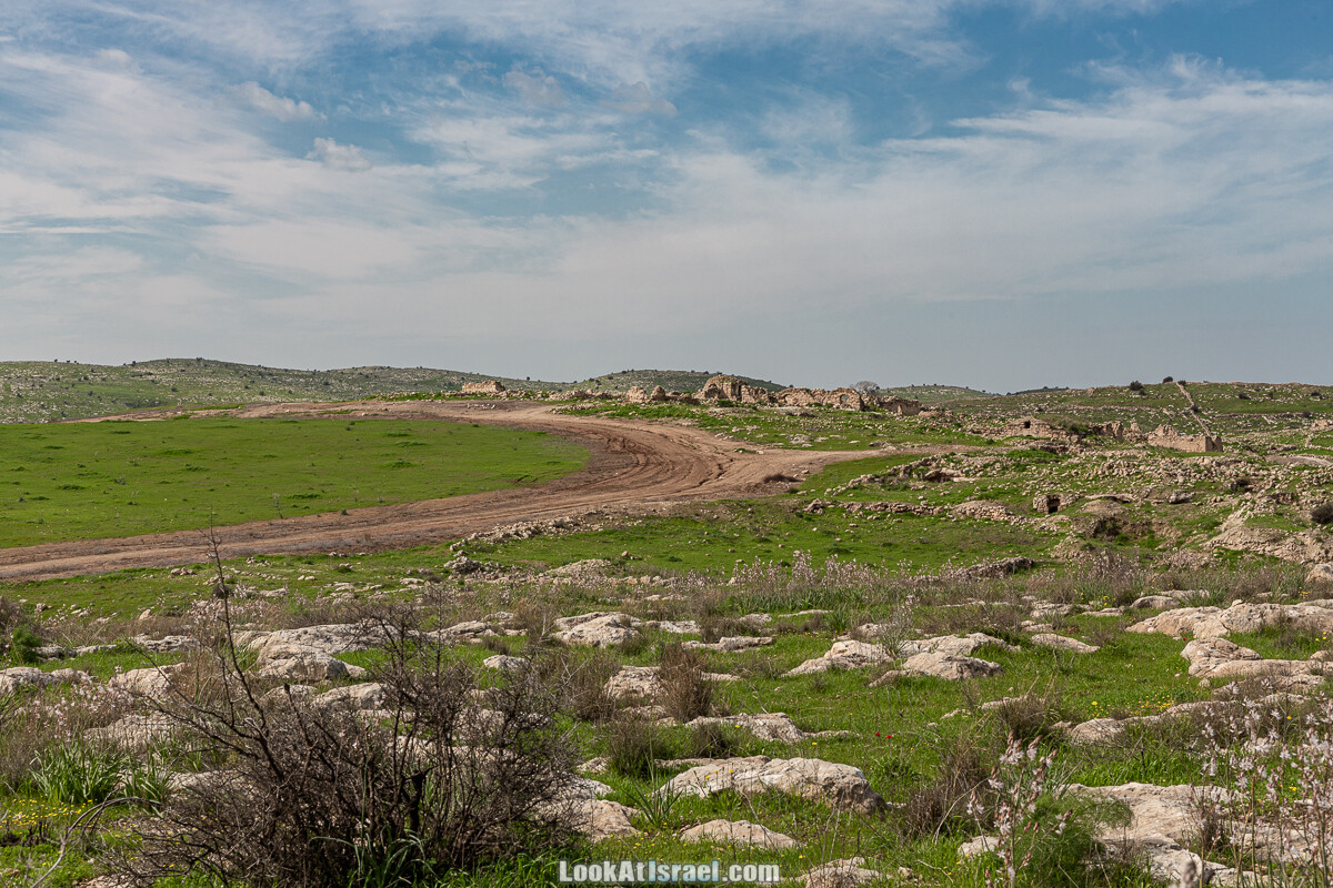 Цветение и археология - Тель Этон, Хирбет Гамар (Гомер), Тель Мирсим | LookAtIsrael.com - Фото путешествия по Израилю