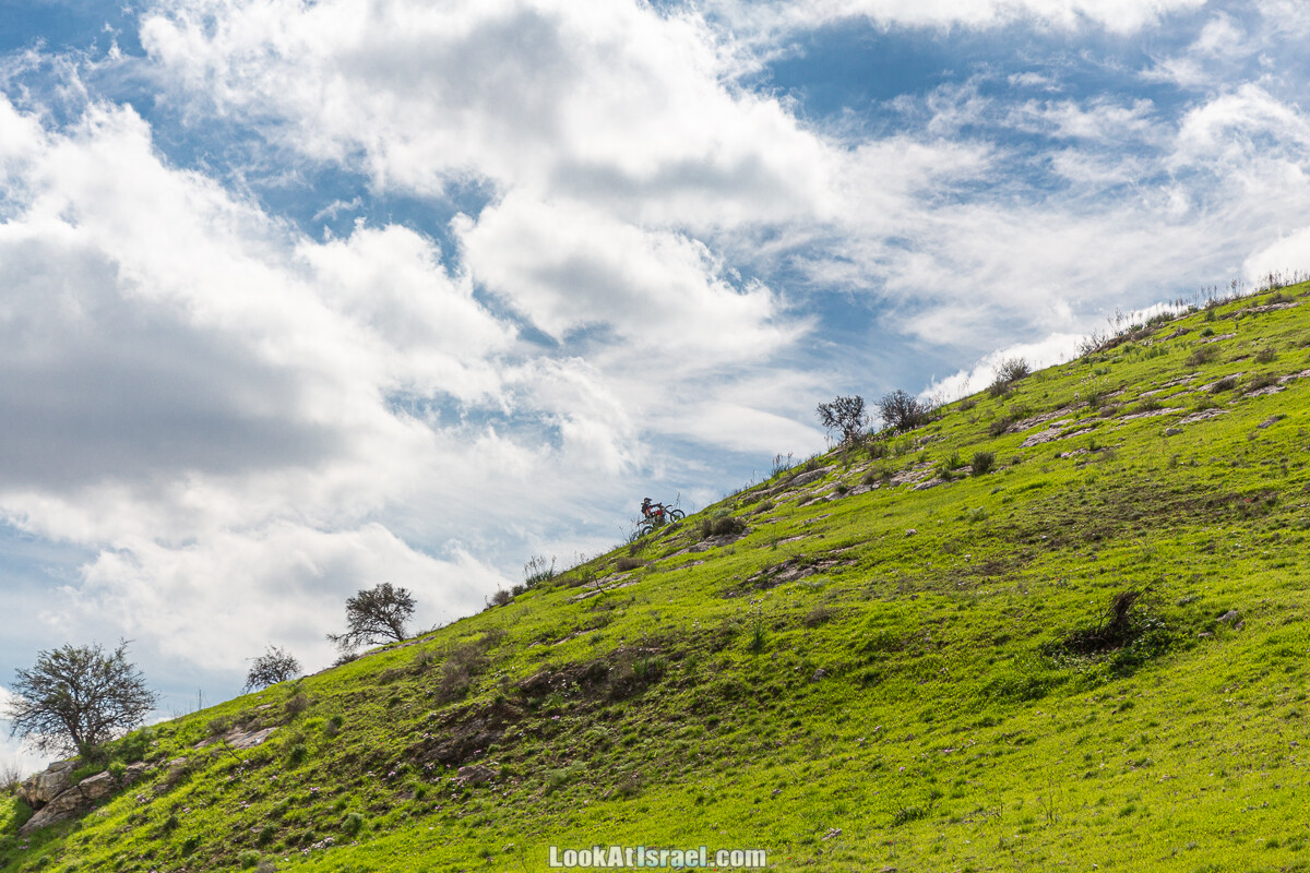 Цветение и археология - Тель Этон, Хирбет Гамар (Гомер), Тель Мирсим | LookAtIsrael.com - Фото путешествия по Израилю
