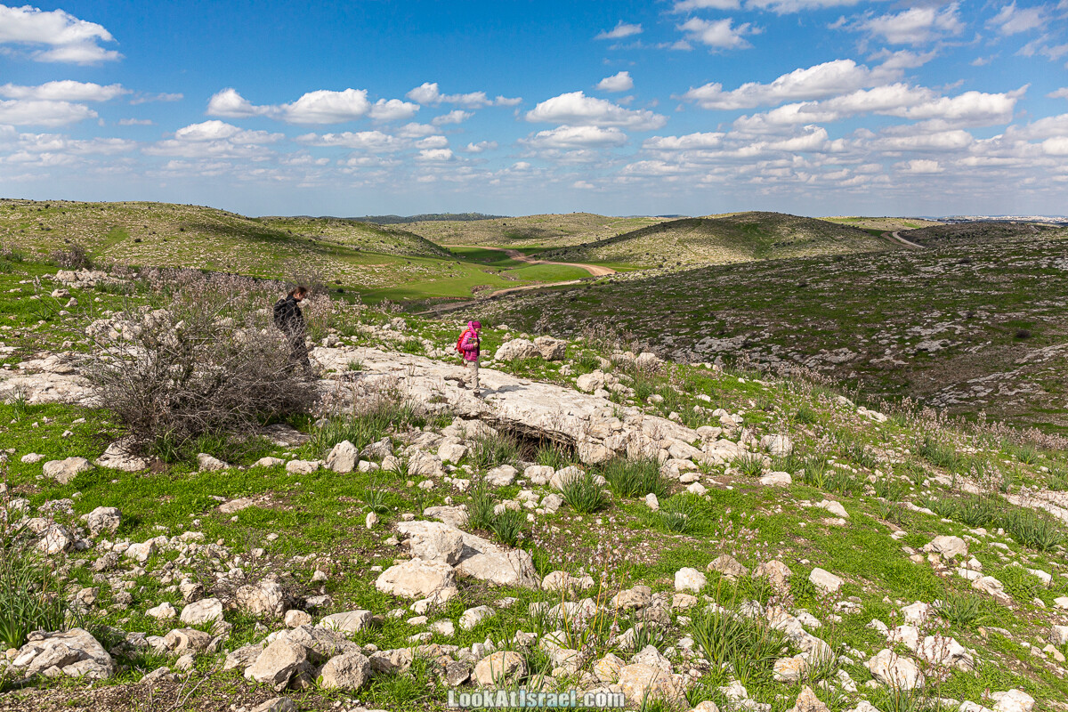 Цветение и археология - Тель Этон, Хирбет Гамар (Гомер), Тель Мирсим | LookAtIsrael.com - Фото путешествия по Израилю