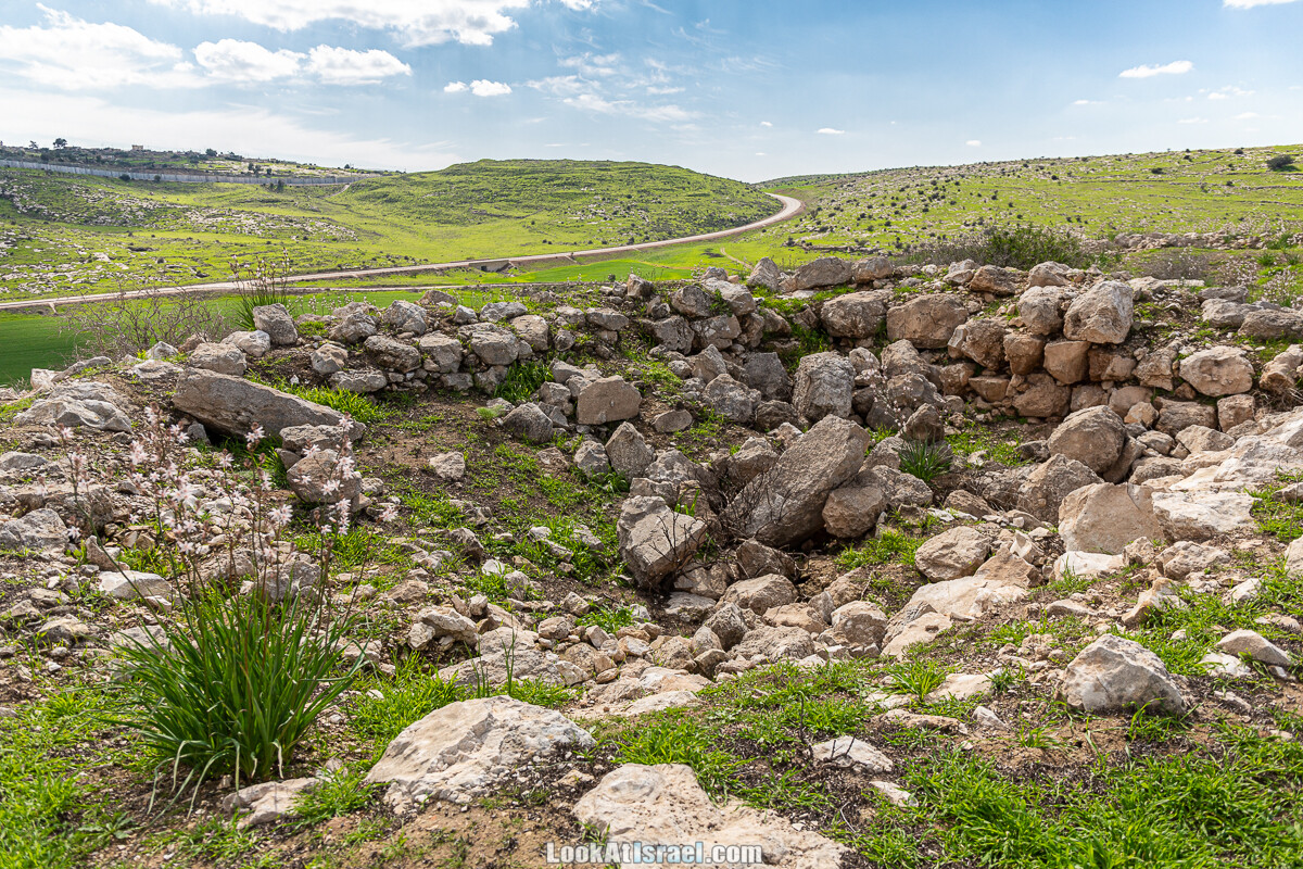 Цветение и археология - Тель Этон, Хирбет Гамар (Гомер), Тель Мирсим | LookAtIsrael.com - Фото путешествия по Израилю