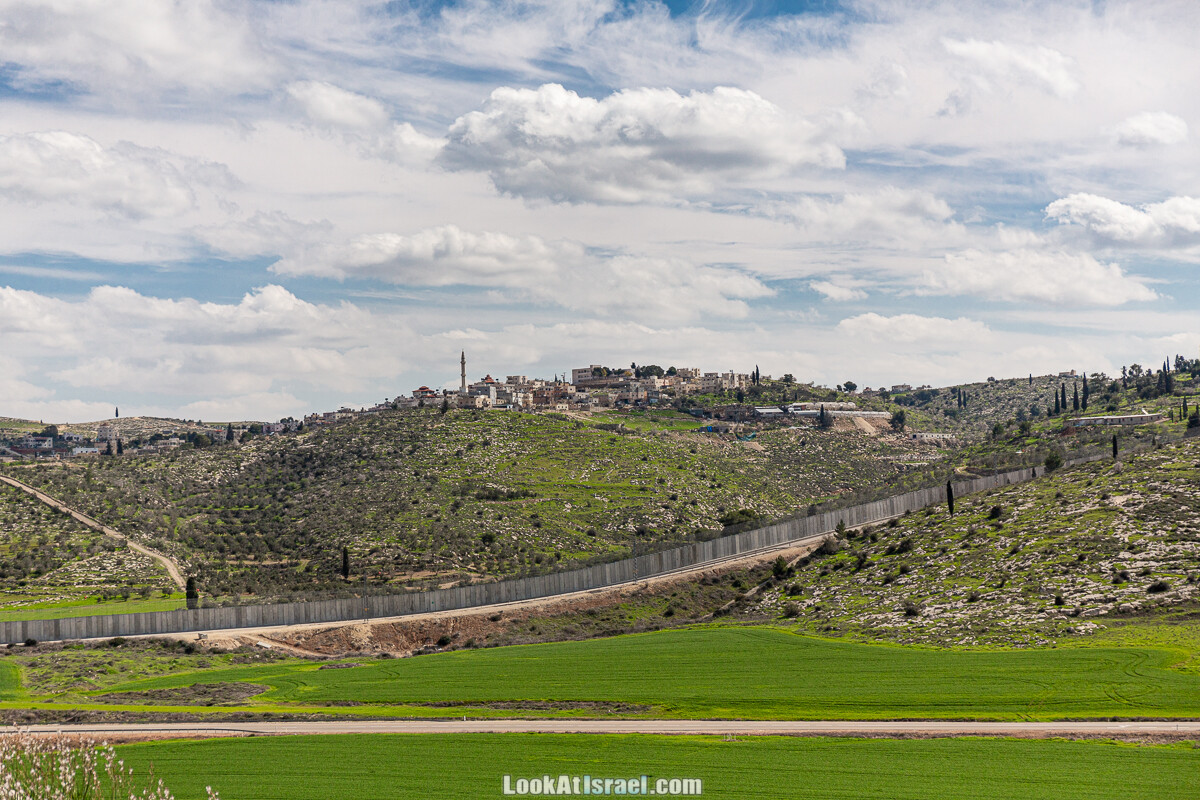 Цветение и археология - Тель Этон, Хирбет Гамар (Гомер), Тель Мирсим | LookAtIsrael.com - Фото путешествия по Израилю
