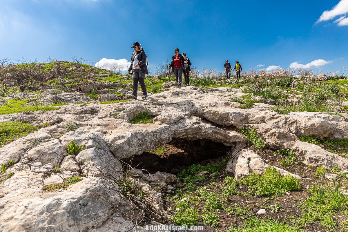 Цветение и археология - Тель Этон, Хирбет Гамар (Гомер), Тель Мирсим | LookAtIsrael.com - Фото путешествия по Израилю