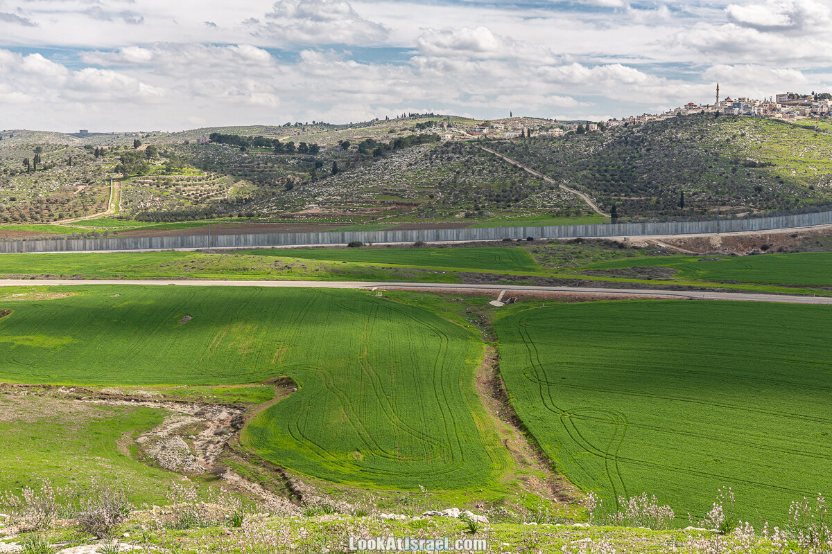 Цветение и археология - Тель Этон, Хирбет Гамар (Гомер), Тель Мирсим | LookAtIsrael.com - Фото путешествия по Израилю