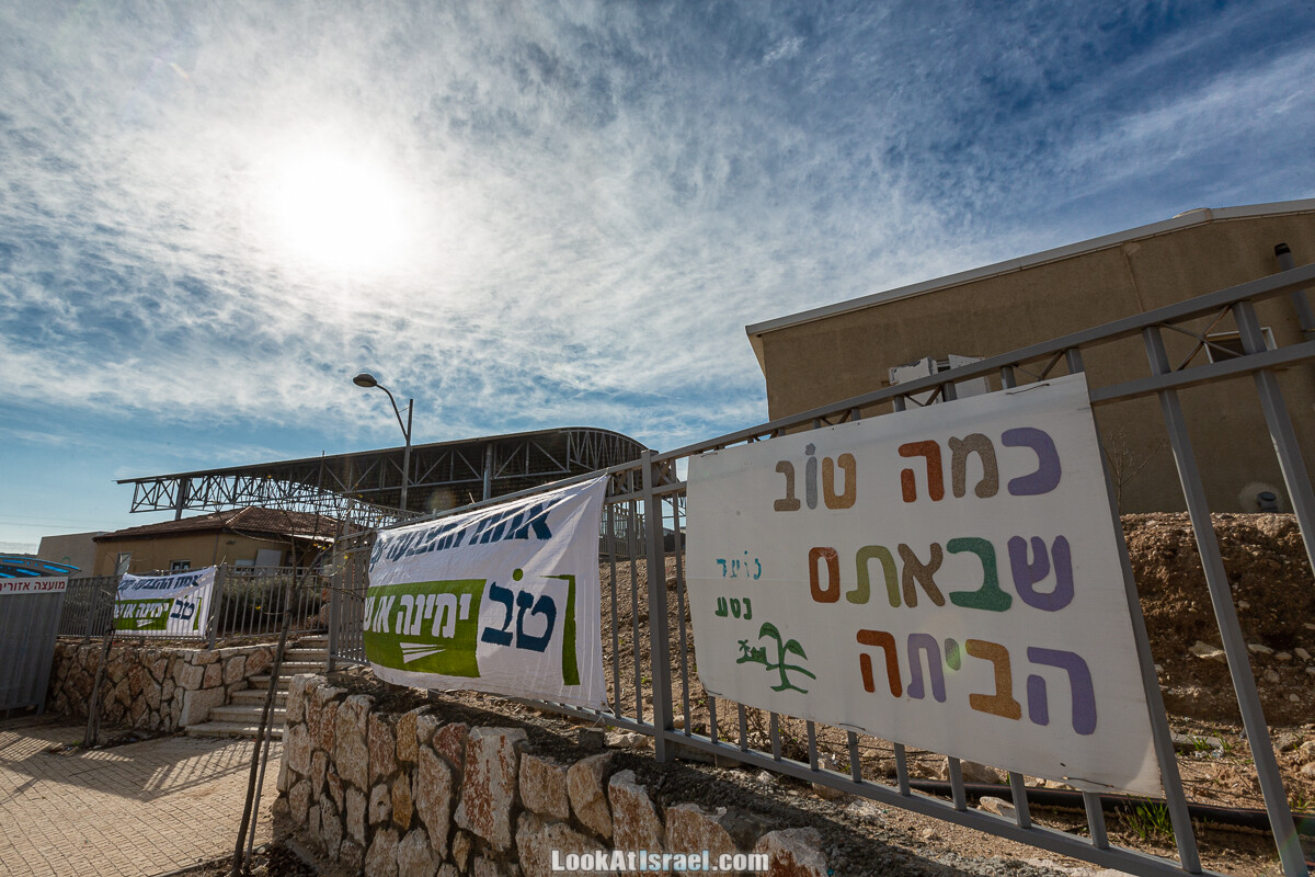 Цветение и археология - Тель Этон, Хирбет Гамар (Гомер), Тель Мирсим | LookAtIsrael.com - Фото путешествия по Израилю