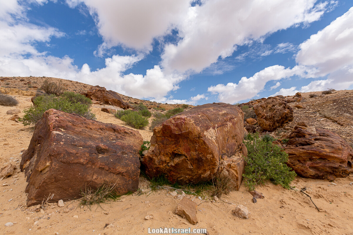 Подъём Маале Авраам, Большой кратер (Махтеш Йерухам) | דרך ומעלה אברהם במכתש ירוחם | LookAtIsrael.com - Фото путешествия по Израилю