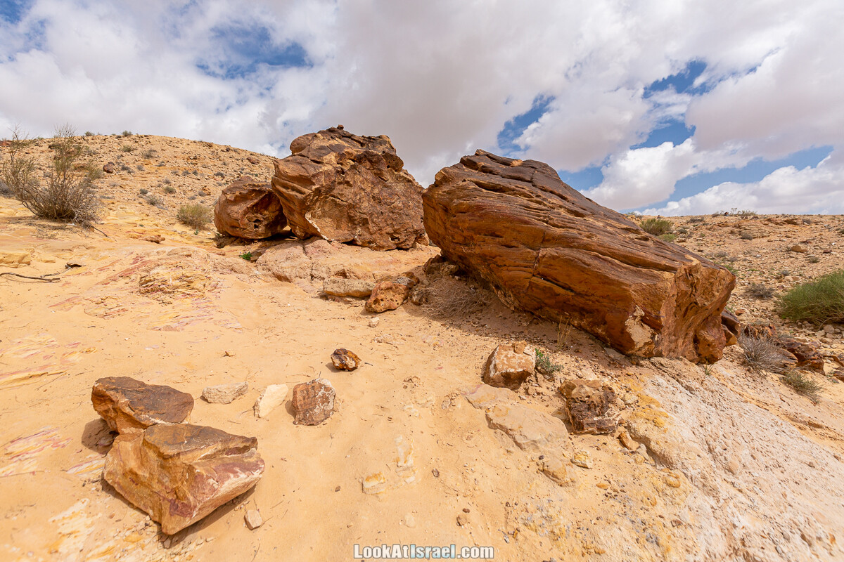 Подъём Маале Авраам, Большой кратер (Махтеш Йерухам) | דרך ומעלה אברהם במכתש ירוחם | LookAtIsrael.com - Фото путешествия по Израилю