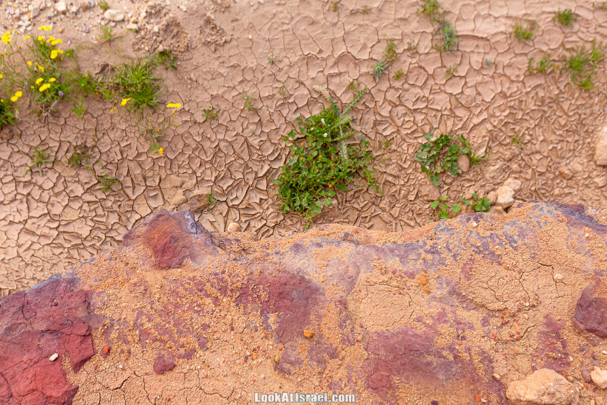 Подъём Маале Авраам, Большой кратер (Махтеш Йерухам) | דרך ומעלה אברהם במכתש ירוחם | LookAtIsrael.com - Фото путешествия по Израилю