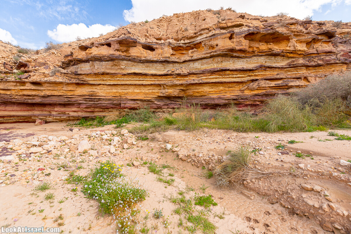 Подъём Маале Авраам, Большой кратер (Махтеш Йерухам) | דרך ומעלה אברהם במכתש ירוחם | LookAtIsrael.com - Фото путешествия по Израилю