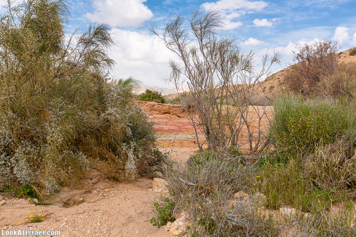 Подъём Маале Авраам, Большой кратер (Махтеш Йерухам) | דרך ומעלה אברהם במכתש ירוחם | LookAtIsrael.com - Фото путешествия по Израилю