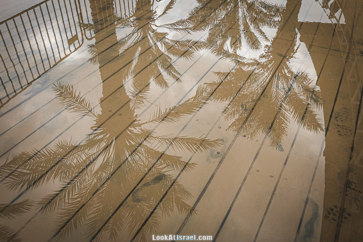 Мост короля Абдаллы, затопление Каср эль-Яхуд и путешествие по Мацок а-Этеким | ארץ המנזרים - הצפה בקאסר אל יהוד וגשר עבדאללה | LookAtIsrael.com - Фото путешествия по Израилю