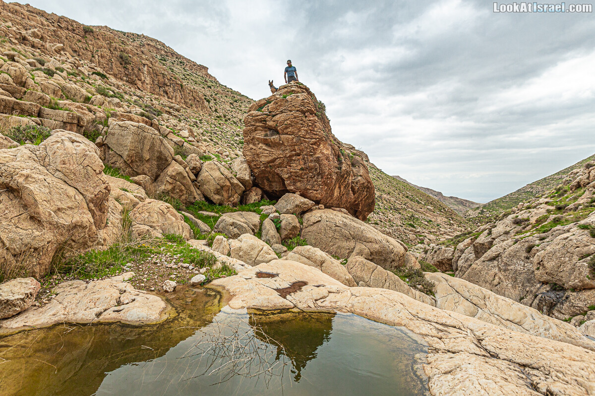 Ущелья Ваххита Вахита