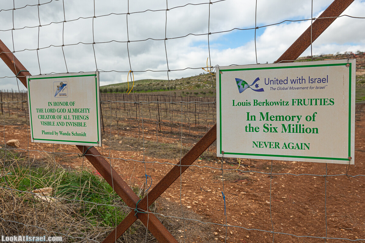 Ущелья Вахиха (Вахида) - от Кохав а-Шахар к Мевуот Йерихо | ואדי ואחיחה | LookAtIsrael.com - Фото путешествия по Израилю