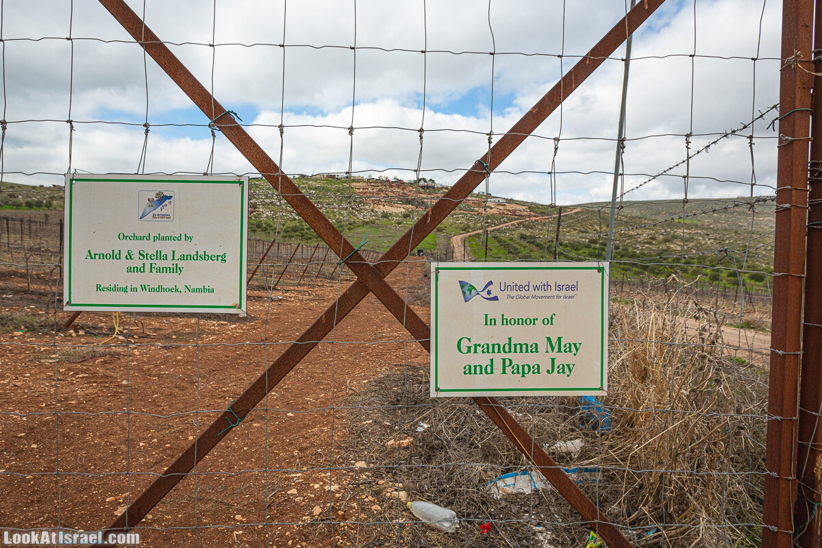 Ущелья Вахиха (Вахида) - от Кохав а-Шахар к Мевуот Йерихо | ואדי ואחיחה | LookAtIsrael.com - Фото путешествия по Израилю