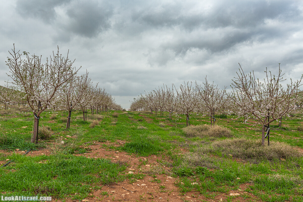 Ущелья Вахиха (Вахида) - от Кохав а-Шахар к Мевуот Йерихо | ואדי ואחיחה | LookAtIsrael.com - Фото путешествия по Израилю
