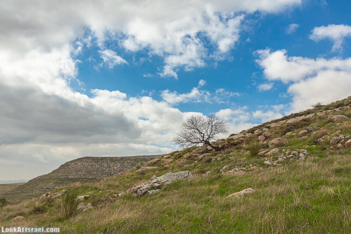 Ущелья Вахиха (Вахида) - от Кохав а-Шахар к Мевуот Йерихо | ואדי ואחיחה | LookAtIsrael.com - Фото путешествия по Израилю