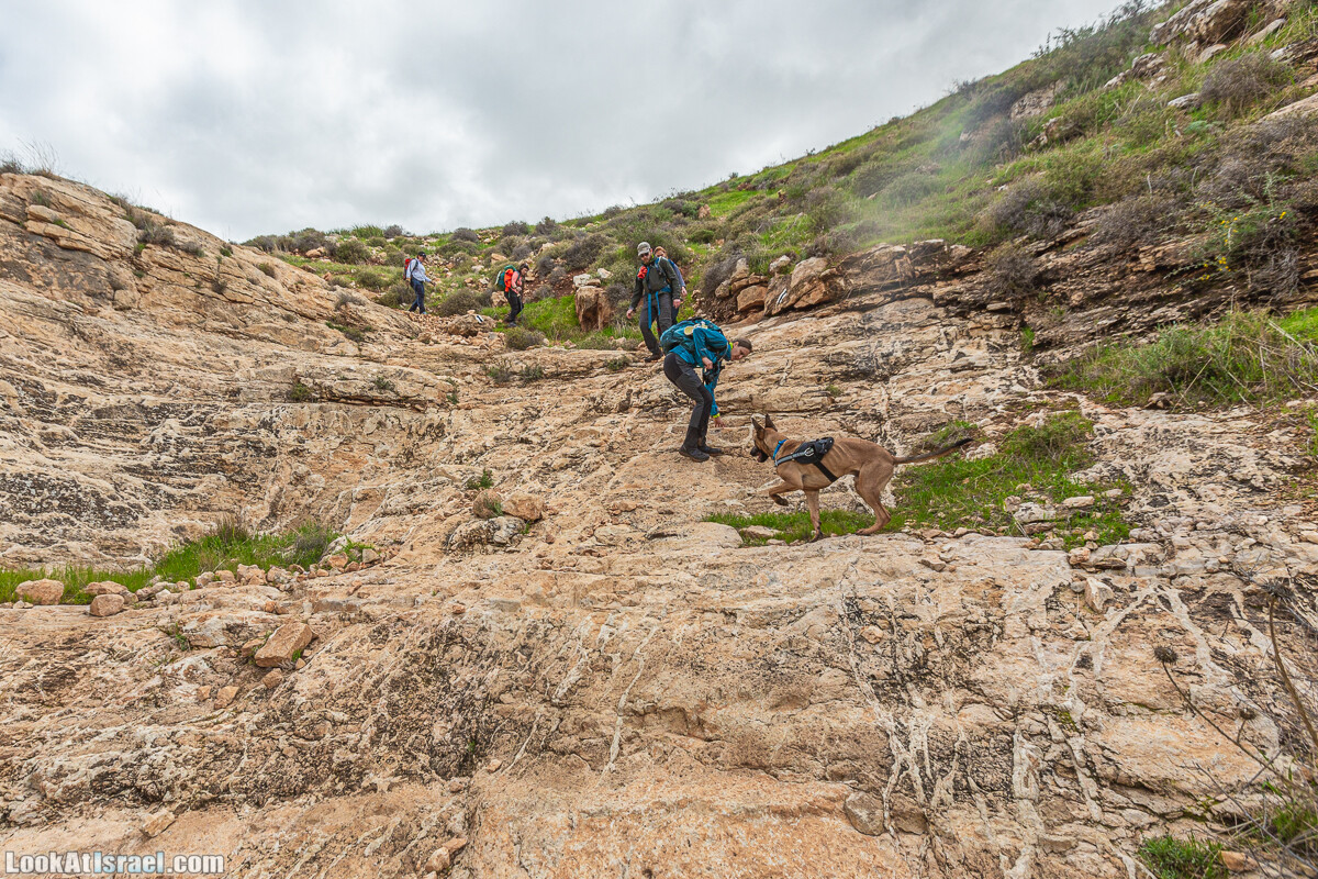 Ущелья Вахиха (Вахида) - от Кохав а-Шахар к Мевуот Йерихо | ואדי ואחיחה | LookAtIsrael.com - Фото путешествия по Израилю