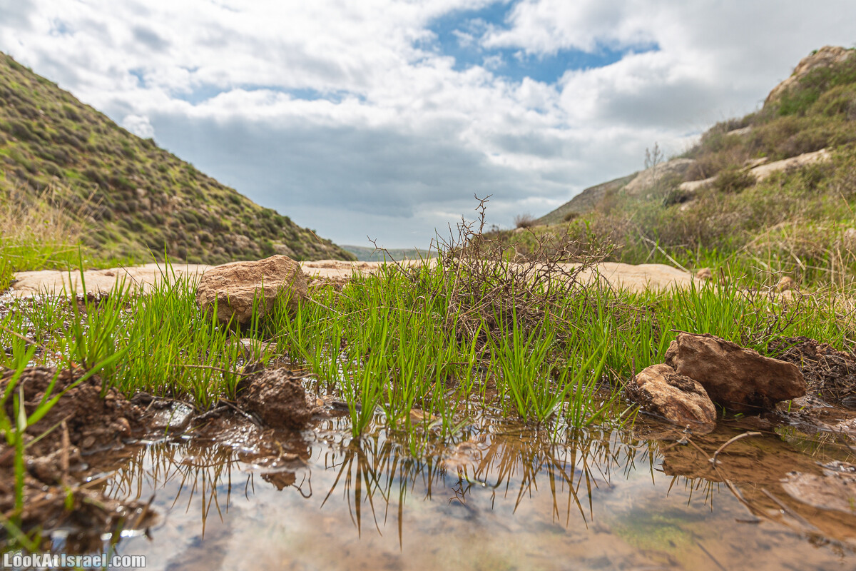 Ущелья Вахиха (Вахида) - от Кохав а-Шахар к Мевуот Йерихо | ואדי ואחיחה | LookAtIsrael.com - Фото путешествия по Израилю