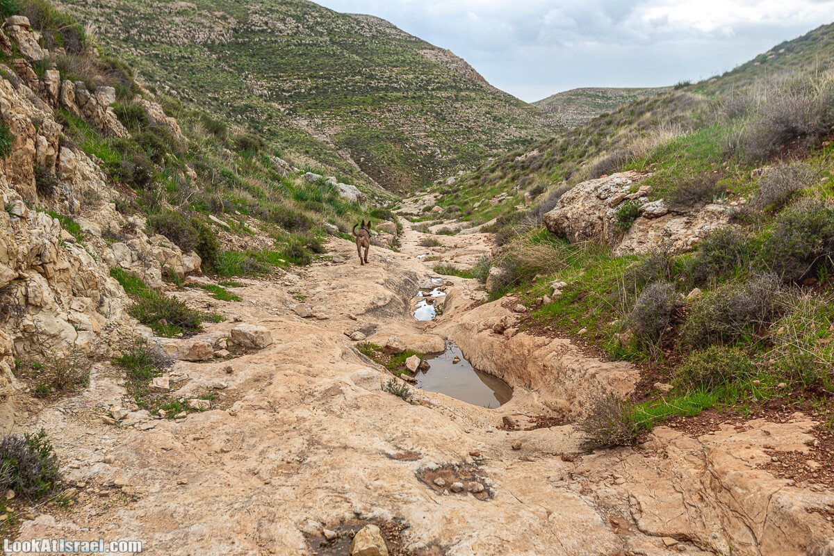 Ущелья Вахиха (Вахида) - от Кохав а-Шахар к Мевуот Йерихо | ואדי ואחיחה | LookAtIsrael.com - Фото путешествия по Израилю