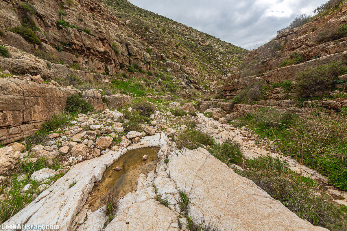Ущелья Вахиха (Вахида) - от Кохав а-Шахар к Мевуот Йерихо | ואדי ואחיחה | LookAtIsrael.com - Фото путешествия по Израилю