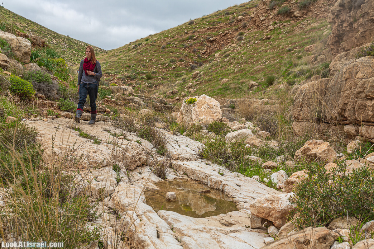 Ущелья Вахиха (Вахида) - от Кохав а-Шахар к Мевуот Йерихо | ואדי ואחיחה | LookAtIsrael.com - Фото путешествия по Израилю