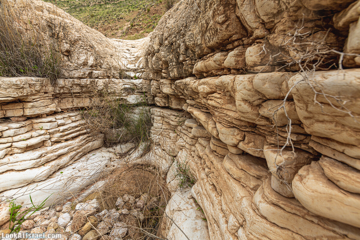 Ущелья Вахиха (Вахида) - от Кохав а-Шахар к Мевуот Йерихо | ואדי ואחיחה | LookAtIsrael.com - Фото путешествия по Израилю
