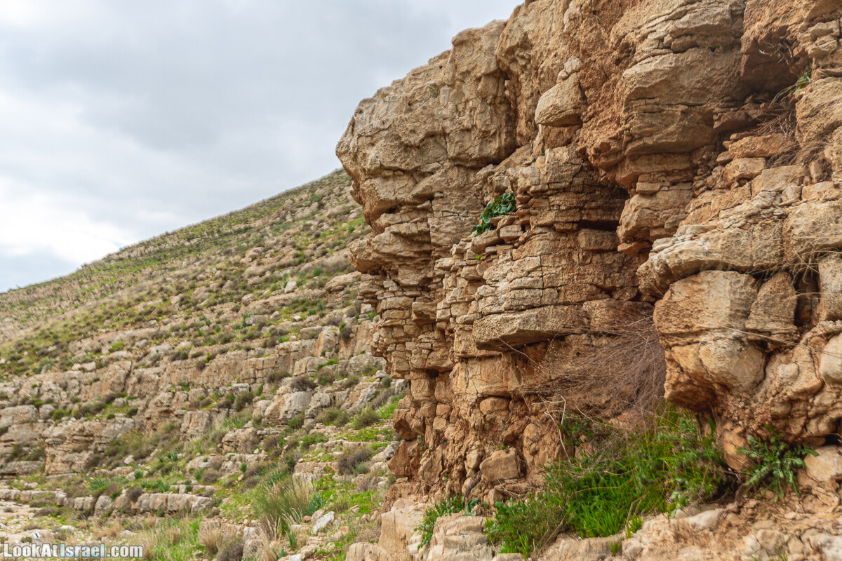 Ущелья Вахиха (Вахида) - от Кохав а-Шахар к Мевуот Йерихо | ואדי ואחיחה | LookAtIsrael.com - Фото путешествия по Израилю