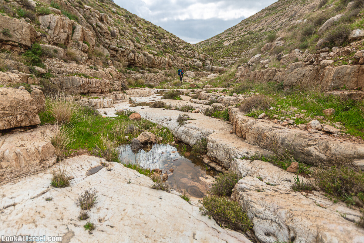 Ущелья Вахиха (Вахида) - от Кохав а-Шахар к Мевуот Йерихо | ואדי ואחיחה | LookAtIsrael.com - Фото путешествия по Израилю