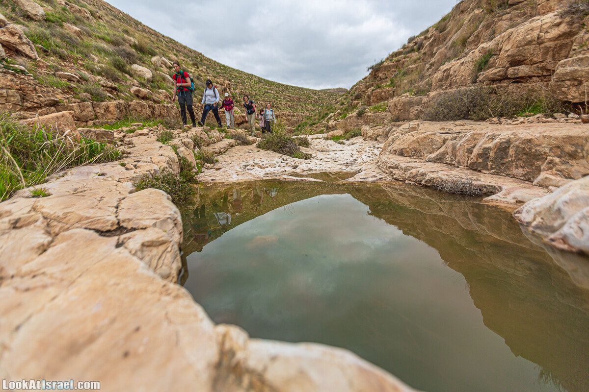 Ущелья Вахиха (Вахида) - от Кохав а-Шахар к Мевуот Йерихо | ואדי ואחיחה | LookAtIsrael.com - Фото путешествия по Израилю