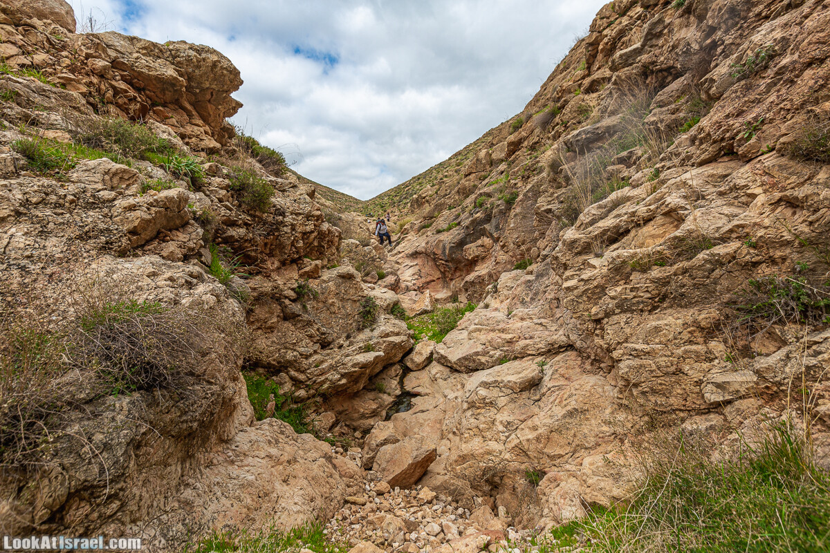 Ущелья Вахиха (Вахида) - от Кохав а-Шахар к Мевуот Йерихо | ואדי ואחיחה | LookAtIsrael.com - Фото путешествия по Израилю