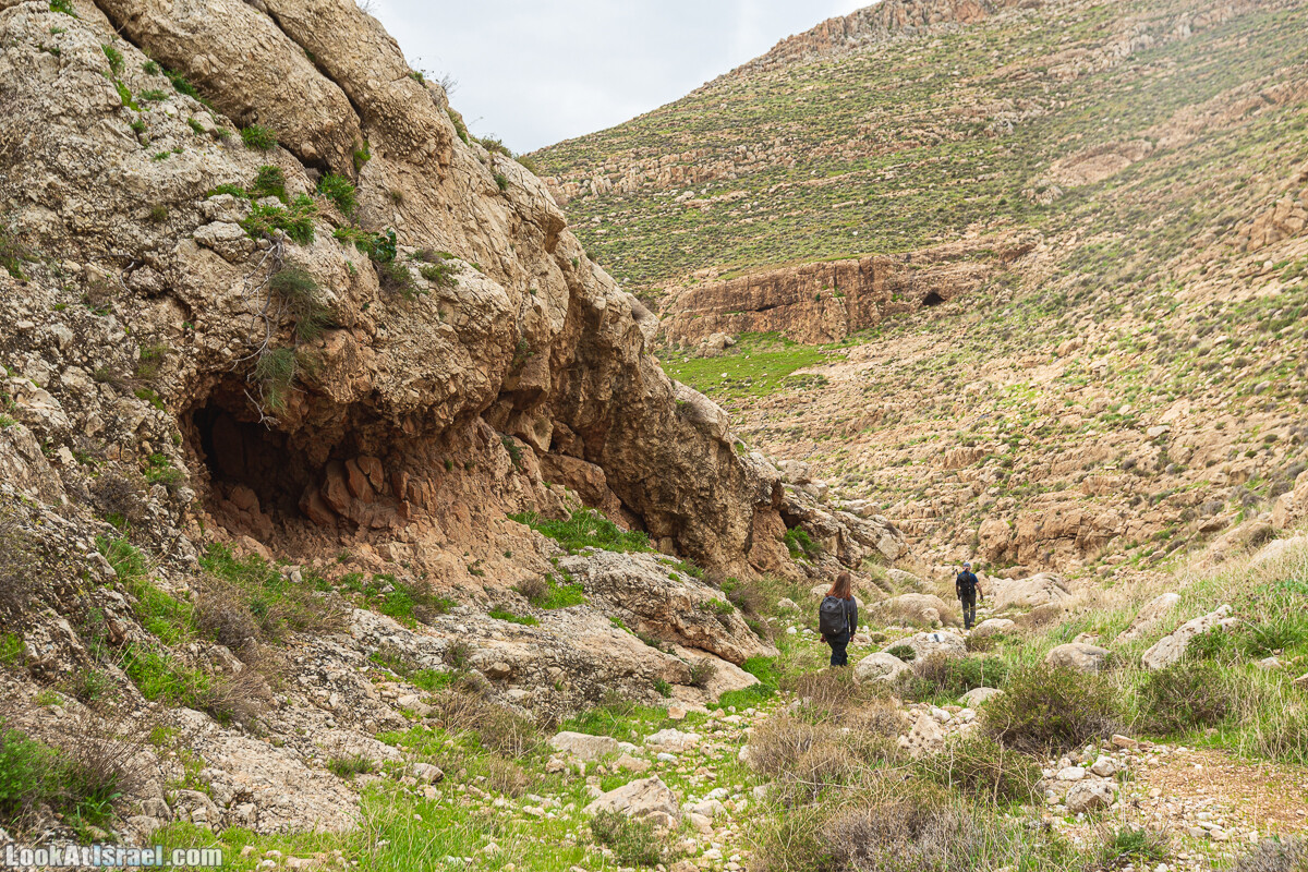 Ущелья Вахиха (Вахида) - от Кохав а-Шахар к Мевуот Йерихо | ואדי ואחיחה | LookAtIsrael.com - Фото путешествия по Израилю