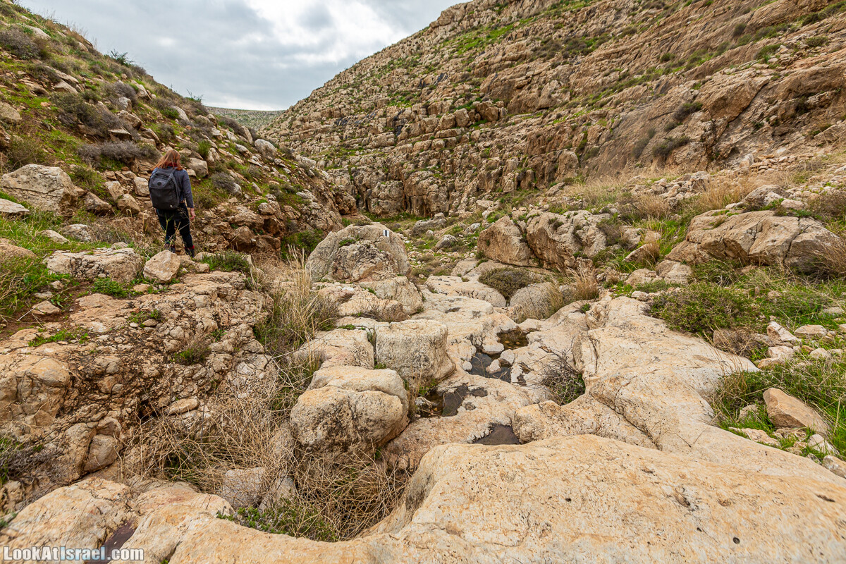 Ущелья Вахиха (Вахида) - от Кохав а-Шахар к Мевуот Йерихо | ואדי ואחיחה | LookAtIsrael.com - Фото путешествия по Израилю