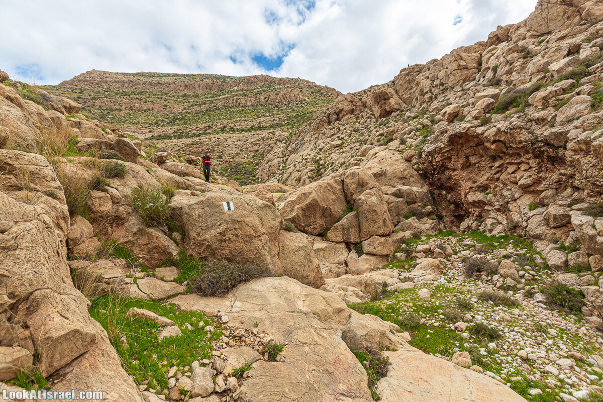 Ущелья Вахиха (Вахида) - от Кохав а-Шахар к Мевуот Йерихо | ואדי ואחיחה | LookAtIsrael.com - Фото путешествия по Израилю