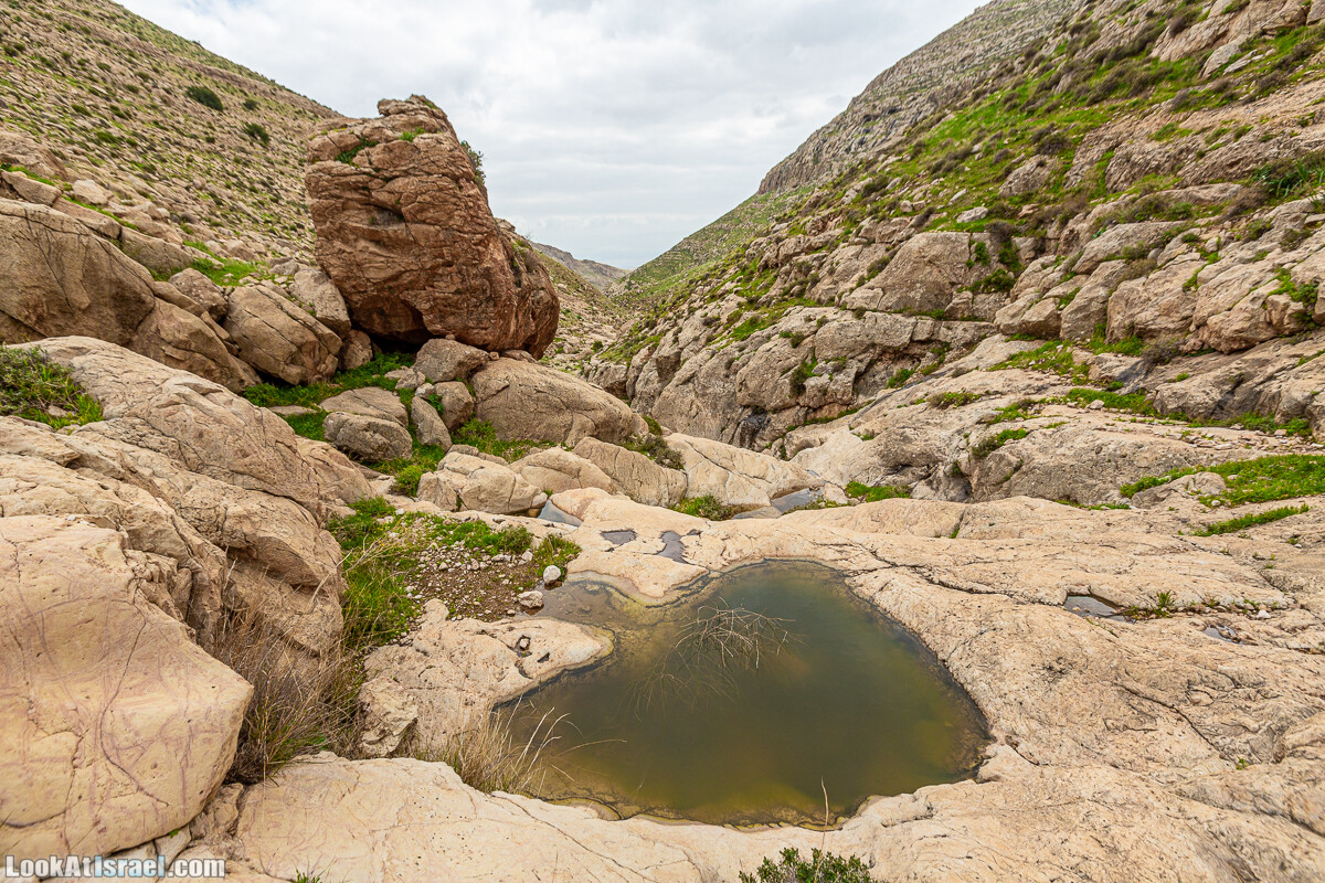 Ущелья Вахиха (Вахида) - от Кохав а-Шахар к Мевуот Йерихо | ואדי ואחיחה | LookAtIsrael.com - Фото путешествия по Израилю