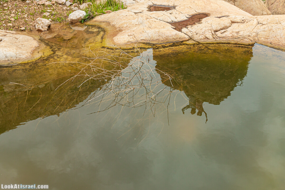Ущелья Вахиха (Вахида) - от Кохав а-Шахар к Мевуот Йерихо | ואדי ואחיחה | LookAtIsrael.com - Фото путешествия по Израилю