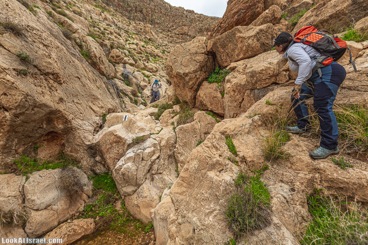 Ущелья Вахиха (Вахида) - от Кохав а-Шахар к Мевуот Йерихо | ואדי ואחיחה | LookAtIsrael.com - Фото путешествия по Израилю