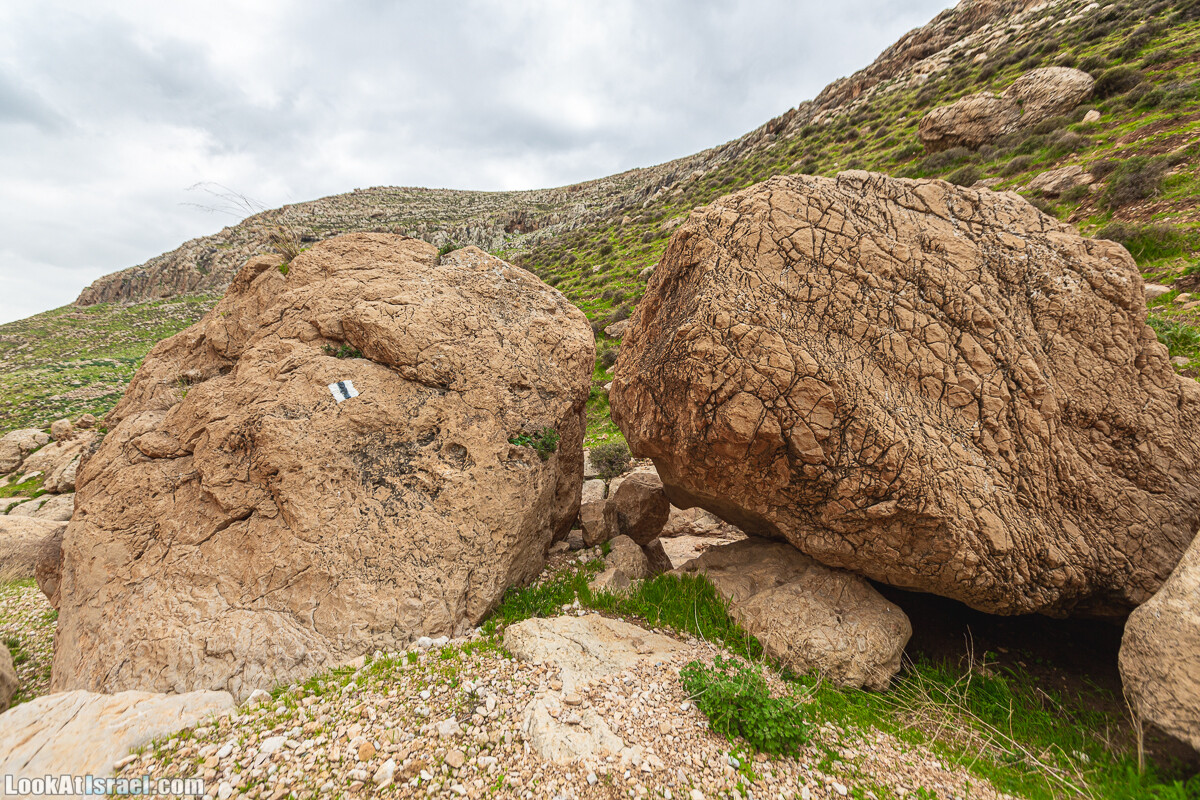 Ущелья Вахиха (Вахида) - от Кохав а-Шахар к Мевуот Йерихо | ואדי ואחיחה | LookAtIsrael.com - Фото путешествия по Израилю