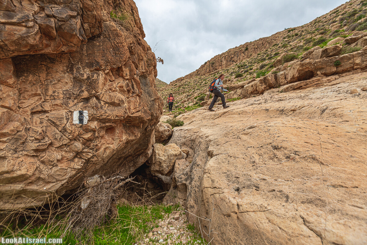 Ущелья Вахиха (Вахида) - от Кохав а-Шахар к Мевуот Йерихо | ואדי ואחיחה | LookAtIsrael.com - Фото путешествия по Израилю