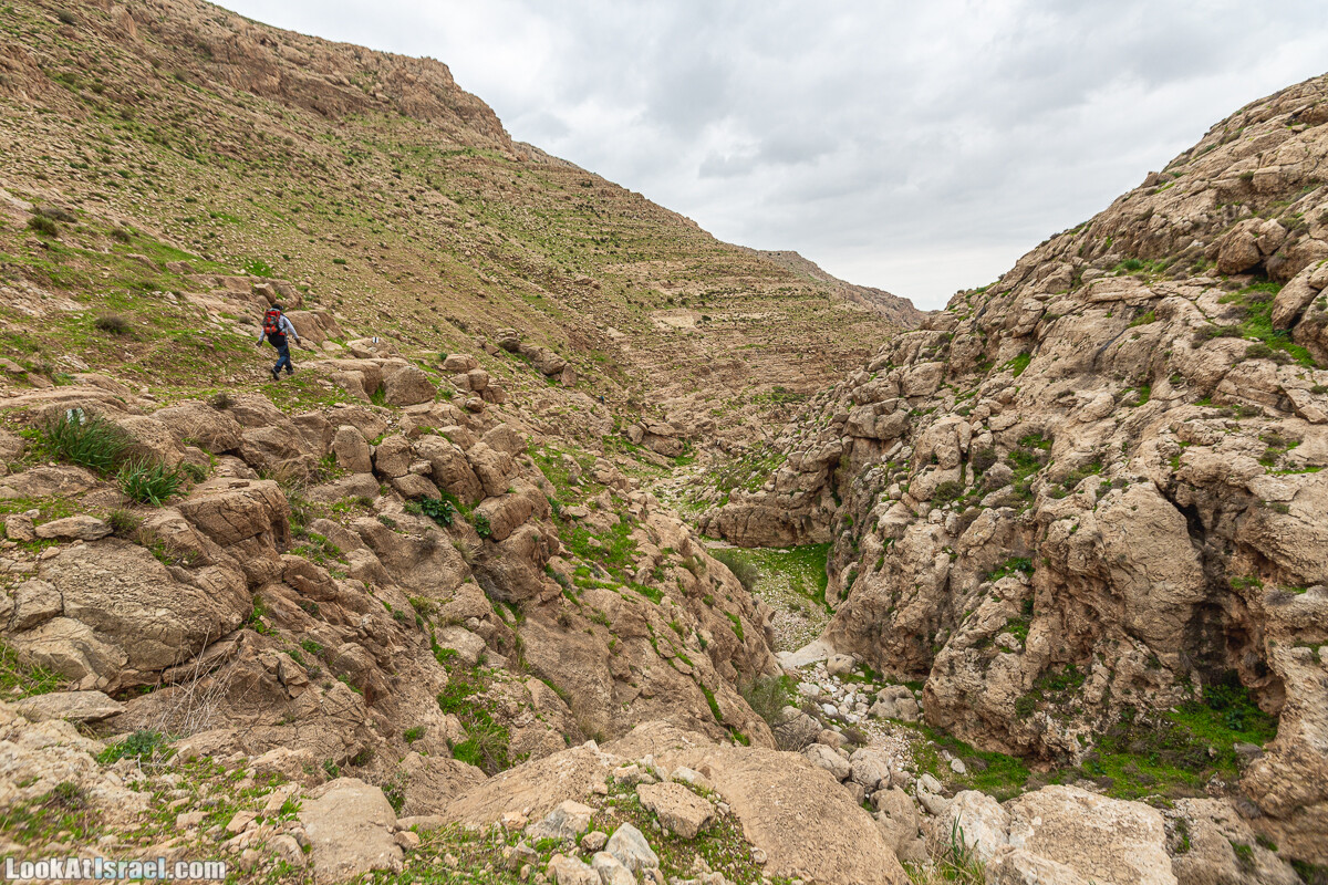 Ущелья Вахиха (Вахида) - от Кохав а-Шахар к Мевуот Йерихо | ואדי ואחיחה | LookAtIsrael.com - Фото путешествия по Израилю