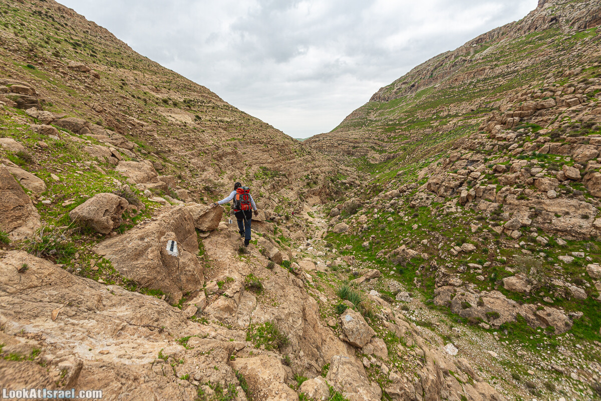 Ущелья Вахиха (Вахида) - от Кохав а-Шахар к Мевуот Йерихо | ואדי ואחיחה | LookAtIsrael.com - Фото путешествия по Израилю