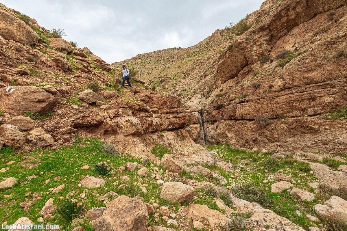 Ущелья Вахиха (Вахида) - от Кохав а-Шахар к Мевуот Йерихо | ואדי ואחיחה | LookAtIsrael.com - Фото путешествия по Израилю