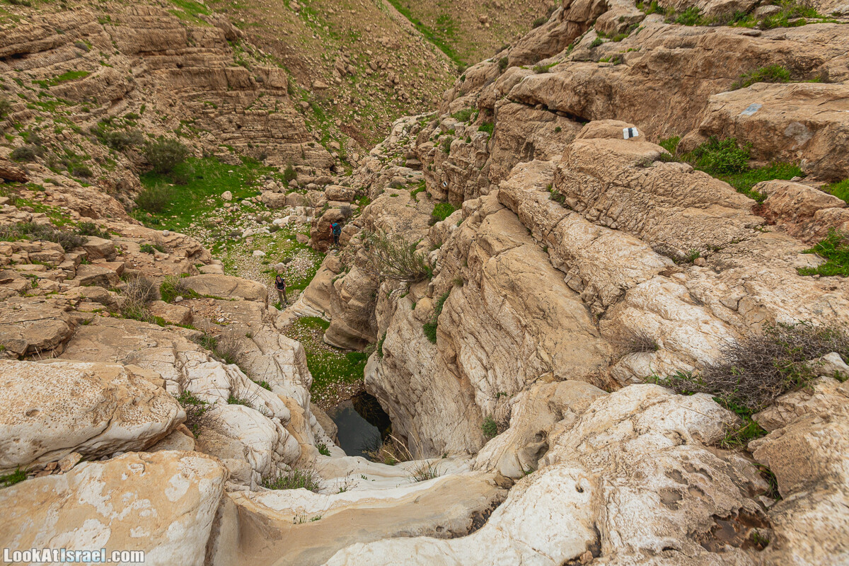 Ущелья Вахиха (Вахида) - от Кохав а-Шахар к Мевуот Йерихо | ואדי ואחיחה | LookAtIsrael.com - Фото путешествия по Израилю