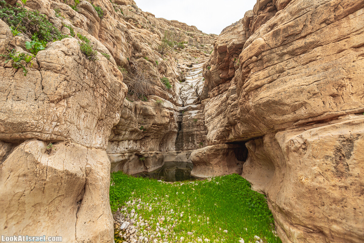 Ущелья Вахиха (Вахида) - от Кохав а-Шахар к Мевуот Йерихо | ואדי ואחיחה | LookAtIsrael.com - Фото путешествия по Израилю